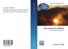 Bookcover of The causes of wildfire