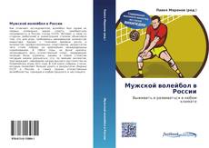 Buchcover von Мужской волейбол в России