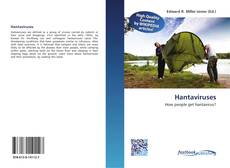 Bookcover of Hantaviruses