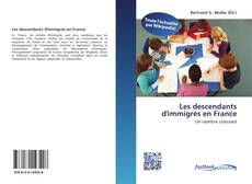 Buchcover von Les descendants d'immigrés en France