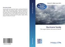 Bookcover of Hurricane Sandy