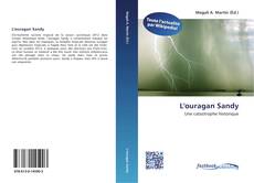 Capa do livro de L'ouragan Sandy 