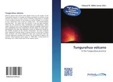 Bookcover of Tungurahua volcano