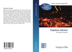 Capa do livro de Copahue volcano 