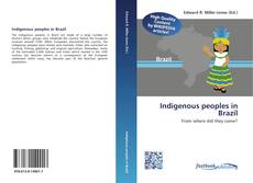 Buchcover von Indigenous peoples in Brazil