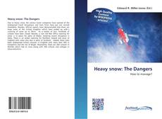 Buchcover von Heavy snow: The Dangers