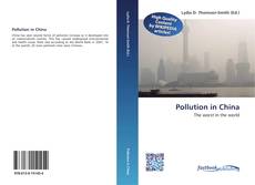 Bookcover of Pollution in China