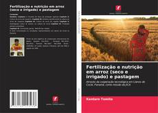 Copertina di Fertilização e nutrição em arroz (seco e irrigado) e pastagem