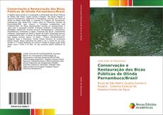 Capa do livro de Conservação e Restauração das Bicas Públicas de Olinda Pernambuco/Brasil 