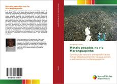 Portada del libro de Metais pesados no rio Maranguapinho