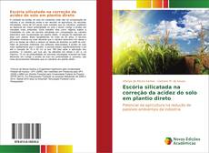 Capa do livro de Escória silicatada na correção da acidez do solo em plantio direto 