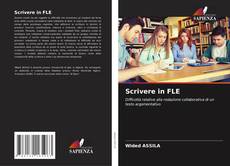 Scrivere in FLE的封面