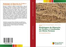 Portada del libro de Modelagem da Migração de Fluidos e Combustão em Meios Porosos