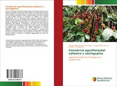 Buchcover von Consórcio agroflorestal cafeeiro x seringueira
