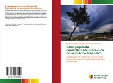 Copertina di Cokrigagem da condutividade hidraúlica no semiárido brasileiro