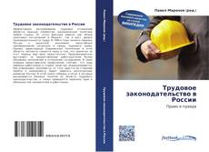 Portada del libro de Трудовое законодательство в России