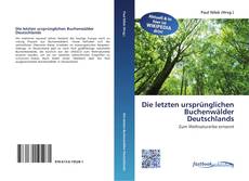 Portada del libro de Die letzten ursprünglichen Buchenwälder Deutschlands