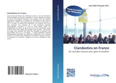 Portada del libro de Clandestins en France