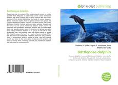 Bottlenose dolphin的封面