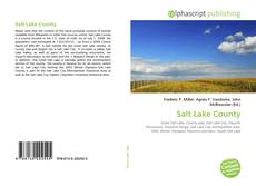 Capa do livro de Salt Lake County 