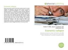 Capa do livro de Economic collapse 