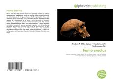 Bookcover of Homo erectus