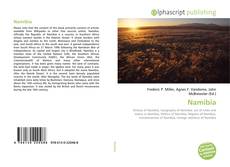 Capa do livro de Namibia 