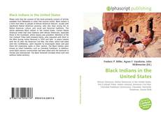 Bookcover of Black Indians in the United States
