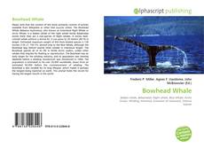 Bowhead Whale的封面