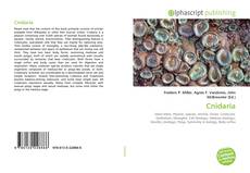 Bookcover of Cnidaria