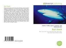 Bull Shark的封面