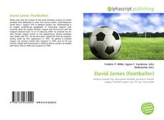 Bookcover of David James (footballer)
