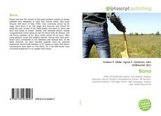 Bookcover of Bono