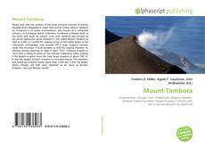 Capa do livro de Mount Tambora 