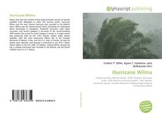 Bookcover of Hurricane Wilma
