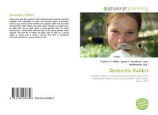 Copertina di Domestic Rabbit