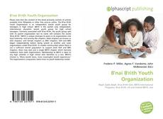 Bookcover of B'nai B'rith Youth Organization