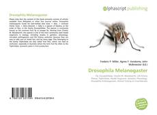 Copertina di Drosophila Melanogaster