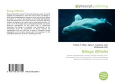 Copertina di Beluga (Whale)