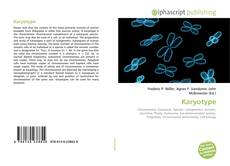 Copertina di Karyotype