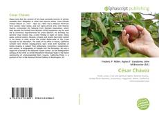 Copertina di César Chávez