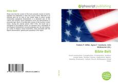 Bible Belt的封面