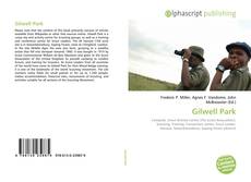 Gilwell Park kitap kapağı