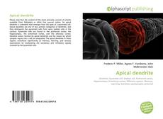 Apical dendrite kitap kapağı