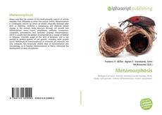 Metamorphosis kitap kapağı
