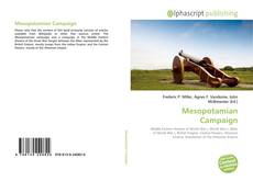 Buchcover von Mesopotamian Campaign