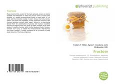 Borítókép a  Fructose - hoz