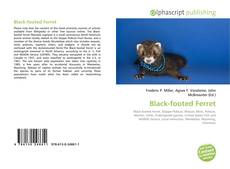 Black-footed Ferret的封面