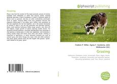 Borítókép a  Grazing - hoz