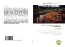 Borítókép a  Lichen - hoz